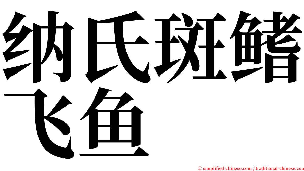 纳氏斑鳍飞鱼 serif font