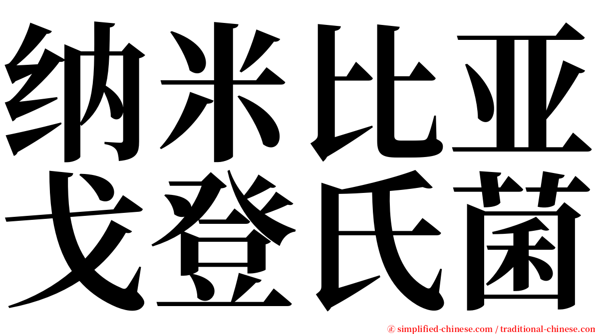 纳米比亚戈登氏菌 serif font