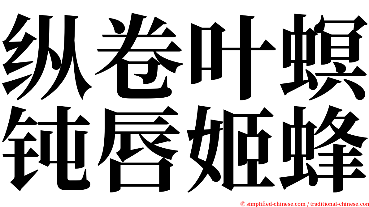 纵卷叶螟钝唇姬蜂 serif font