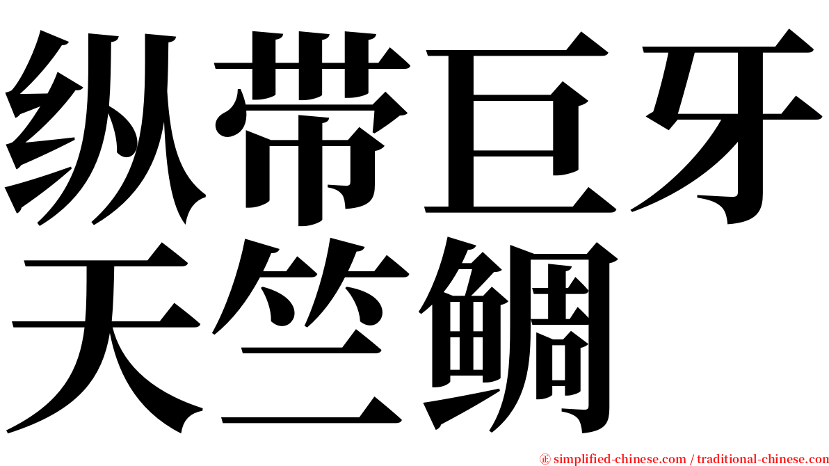 纵带巨牙天竺鲷 serif font