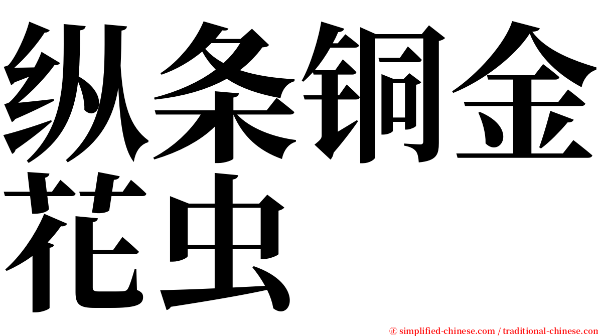 纵条铜金花虫 serif font