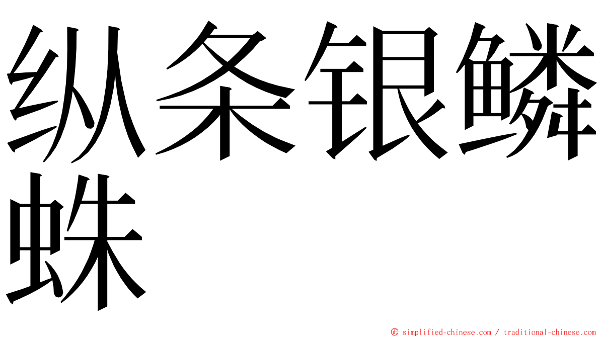 纵条银鳞蛛 ming font