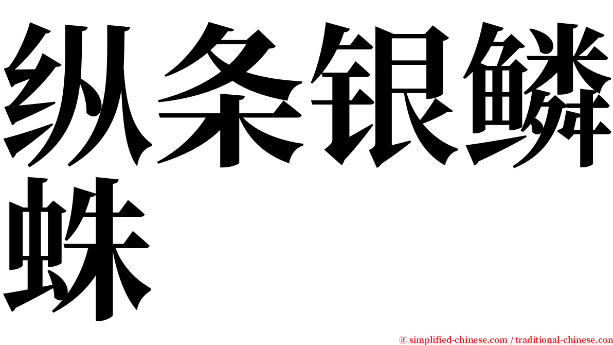 纵条银鳞蛛 serif font