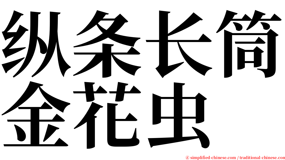 纵条长筒金花虫 serif font