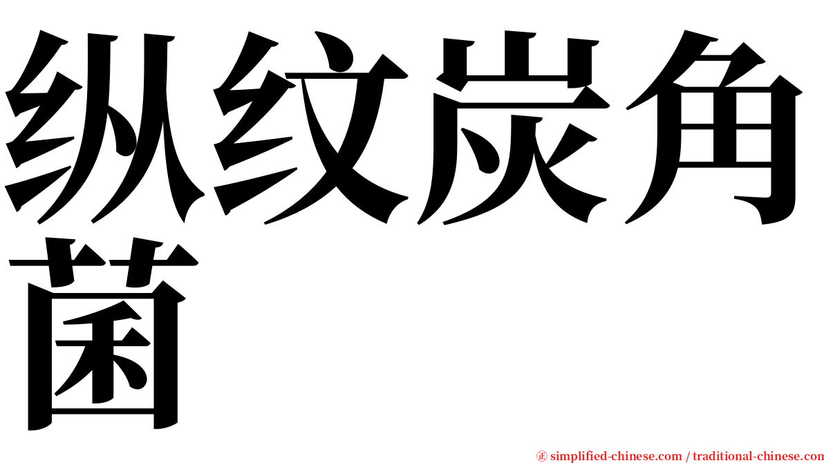 纵纹炭角菌 serif font