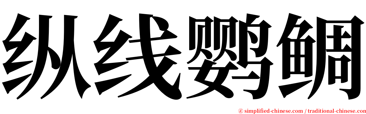 纵线鹦鲷 serif font