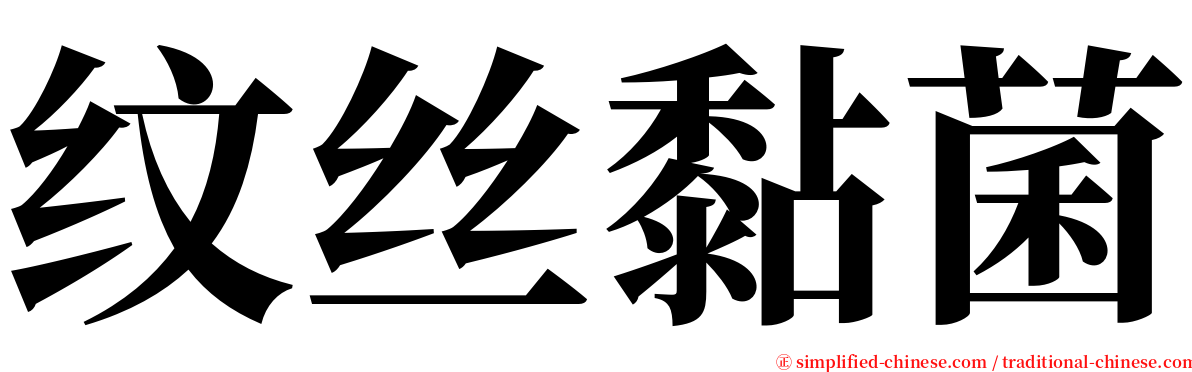 纹丝黏菌 serif font