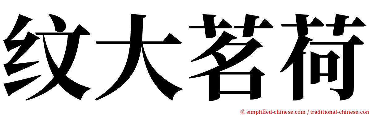 纹大茗荷 serif font