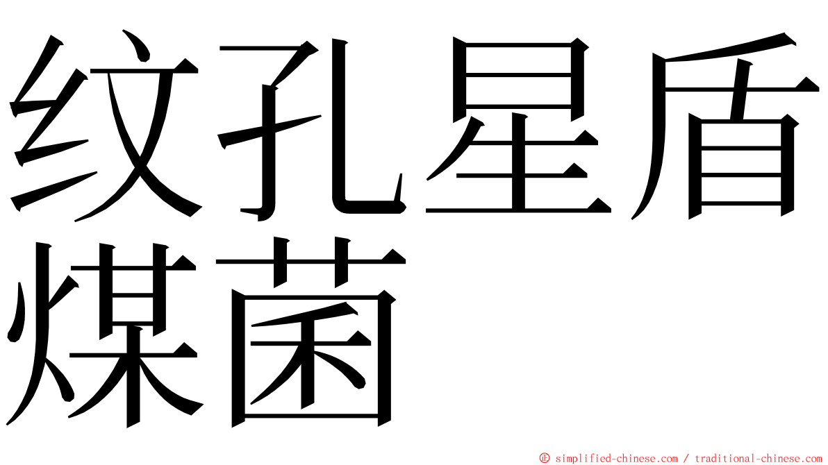 纹孔星盾煤菌 ming font