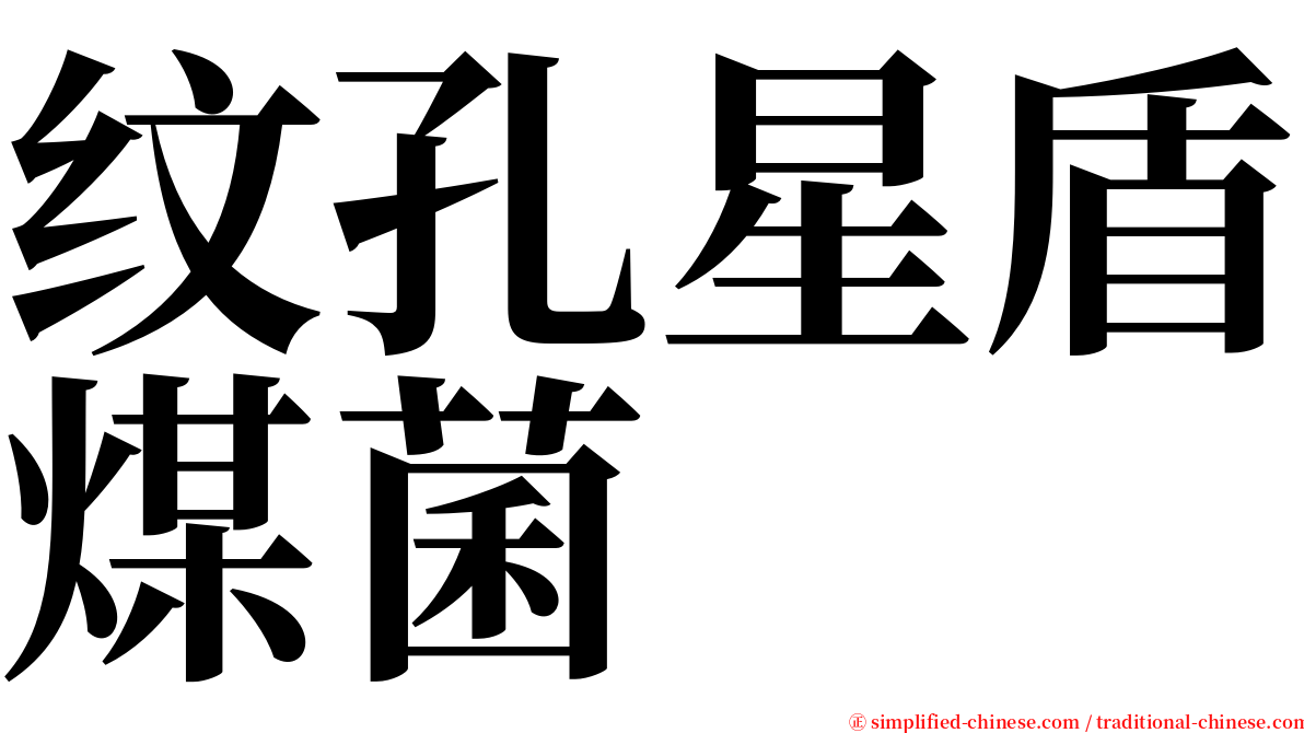 纹孔星盾煤菌 serif font