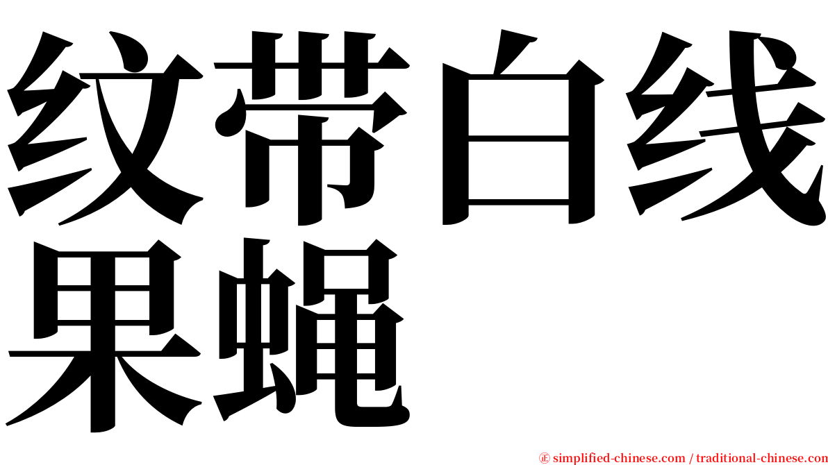 纹带白线果蝇 serif font