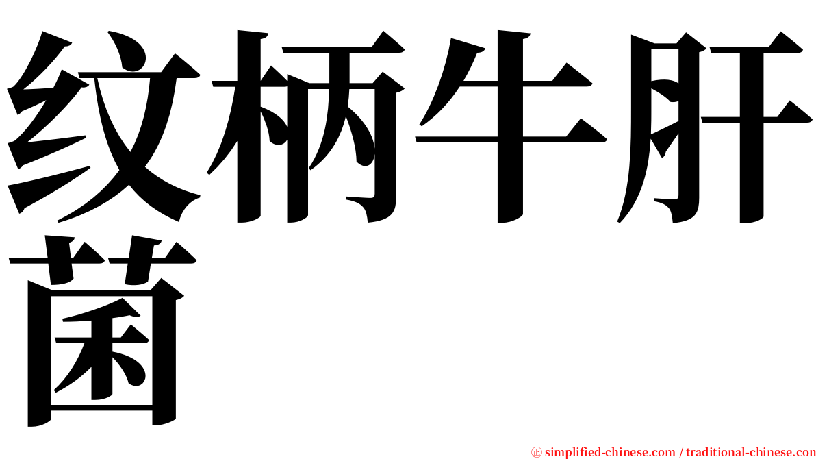 纹柄牛肝菌 serif font