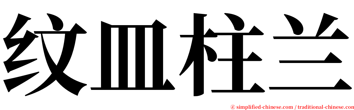 纹皿柱兰 serif font