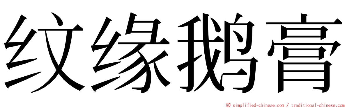 纹缘鹅膏 ming font