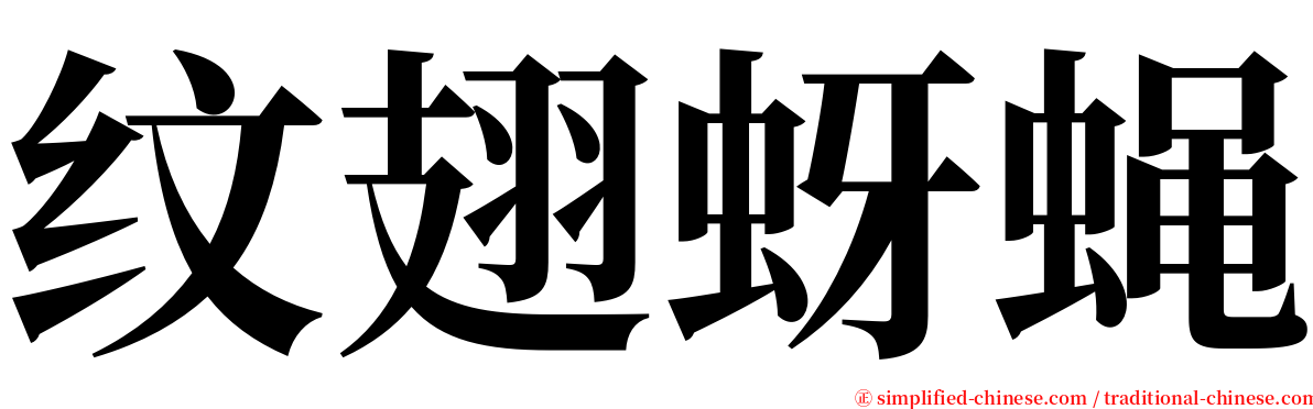 纹翅蚜蝇 serif font