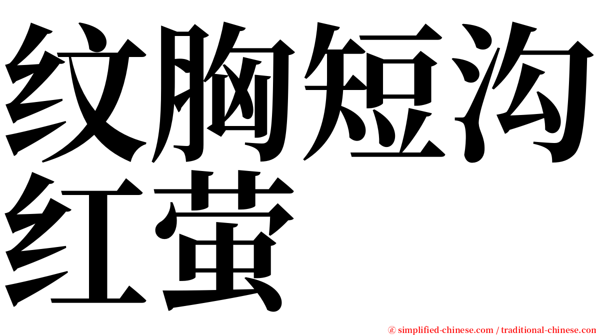 纹胸短沟红萤 serif font