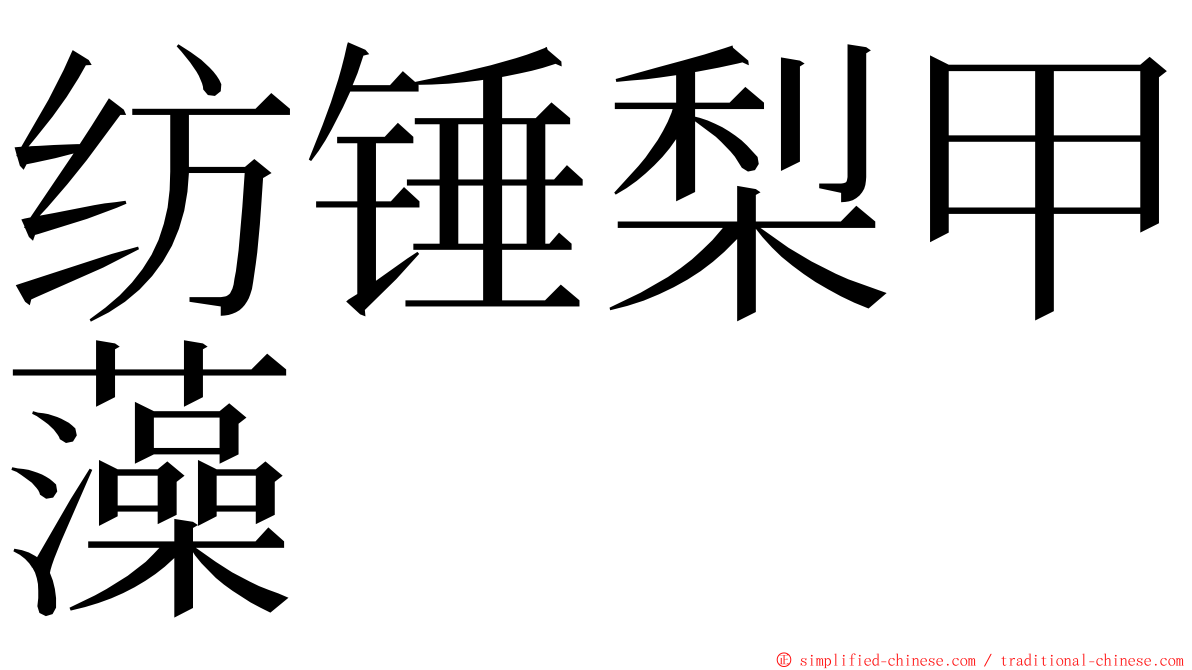 纺锤梨甲藻 ming font