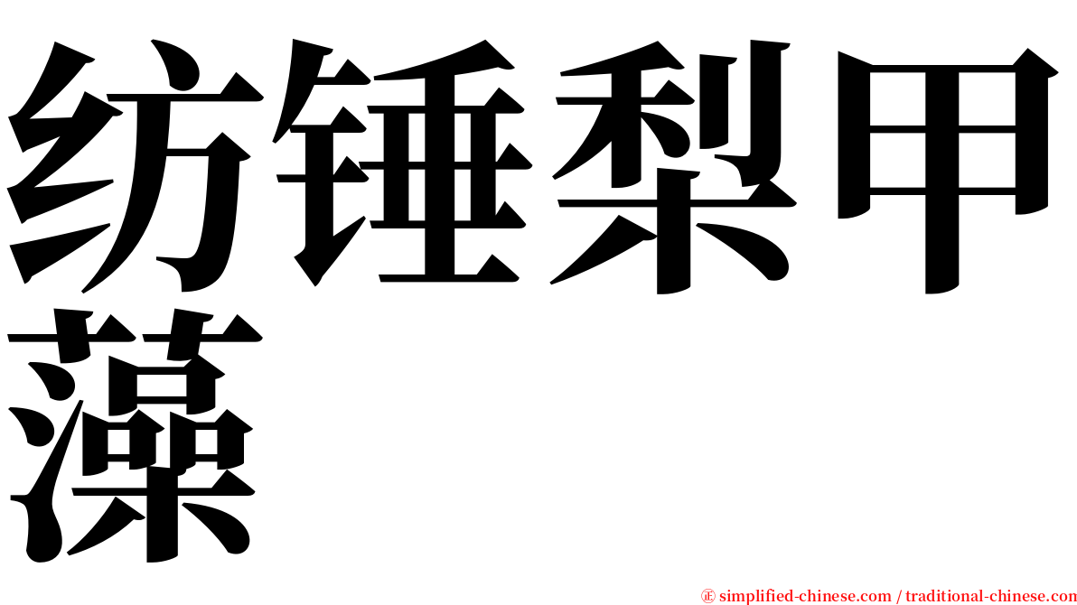 纺锤梨甲藻 serif font