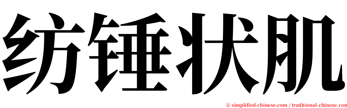 纺锤状肌 serif font