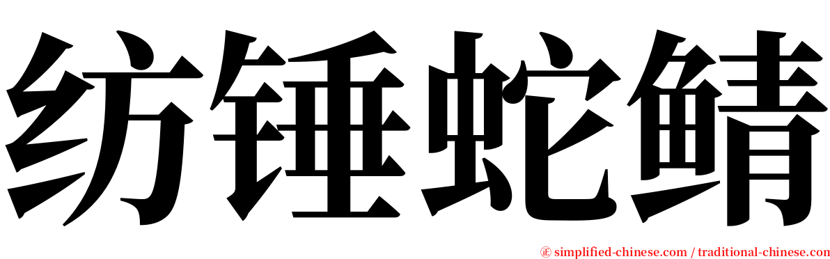 纺锤蛇鲭 serif font