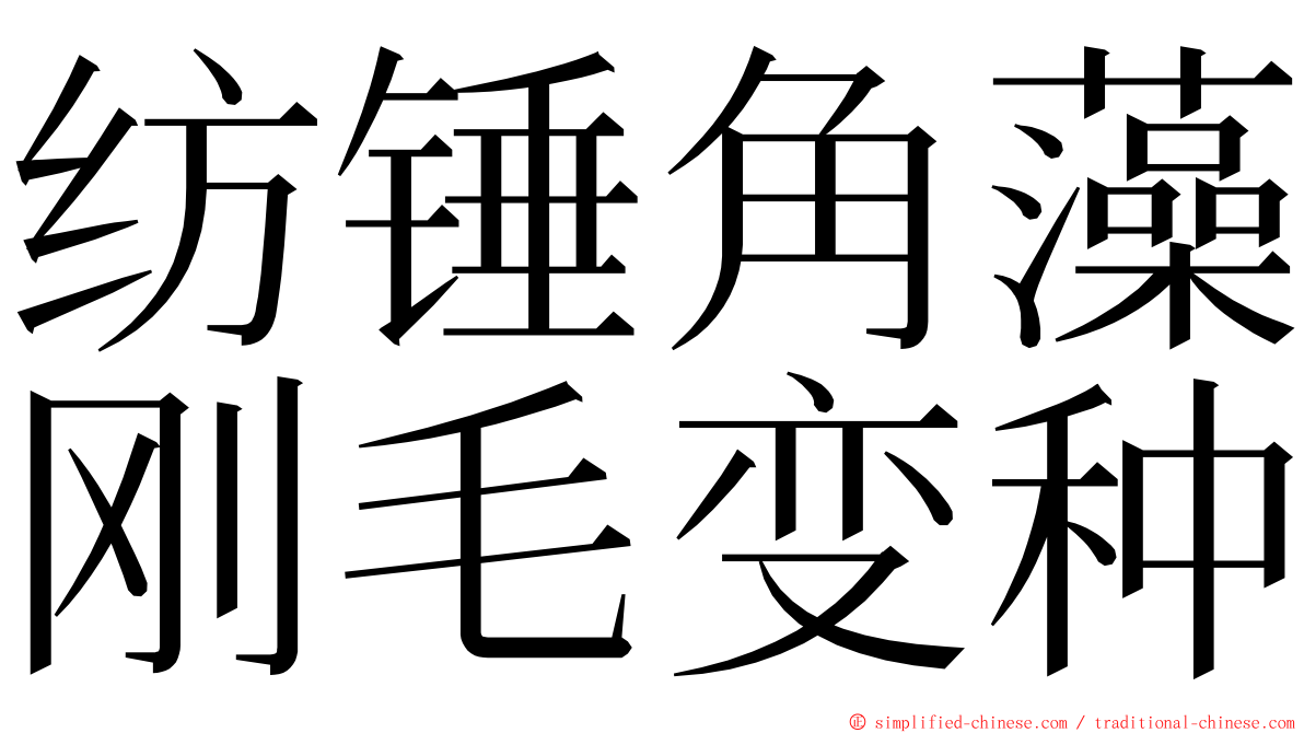 纺锤角藻刚毛变种 ming font