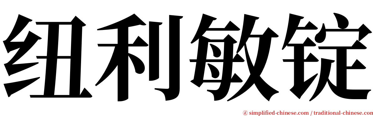 纽利敏锭 serif font