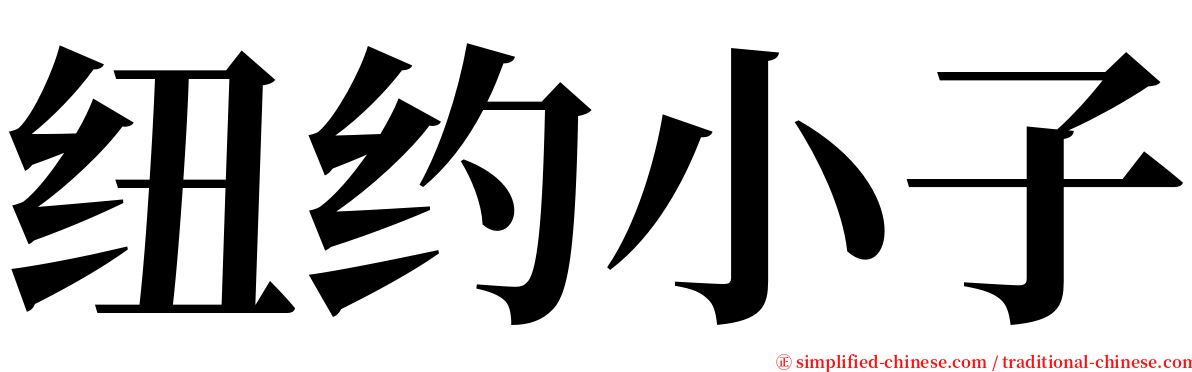 纽约小子 serif font