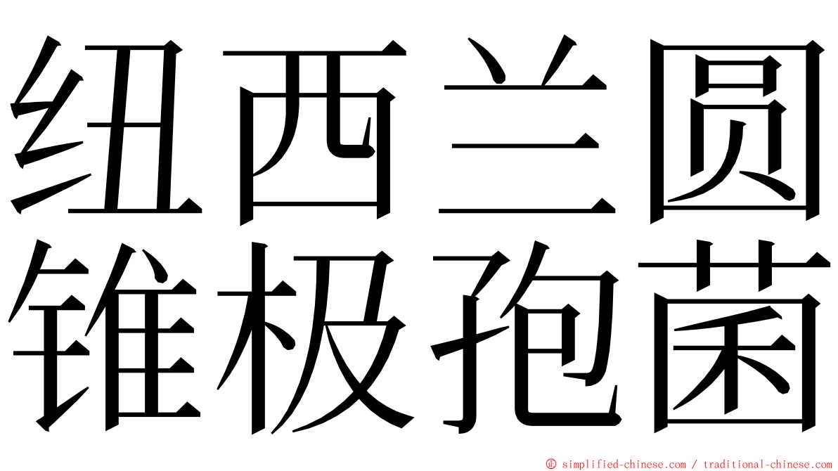 纽西兰圆锥极孢菌 ming font