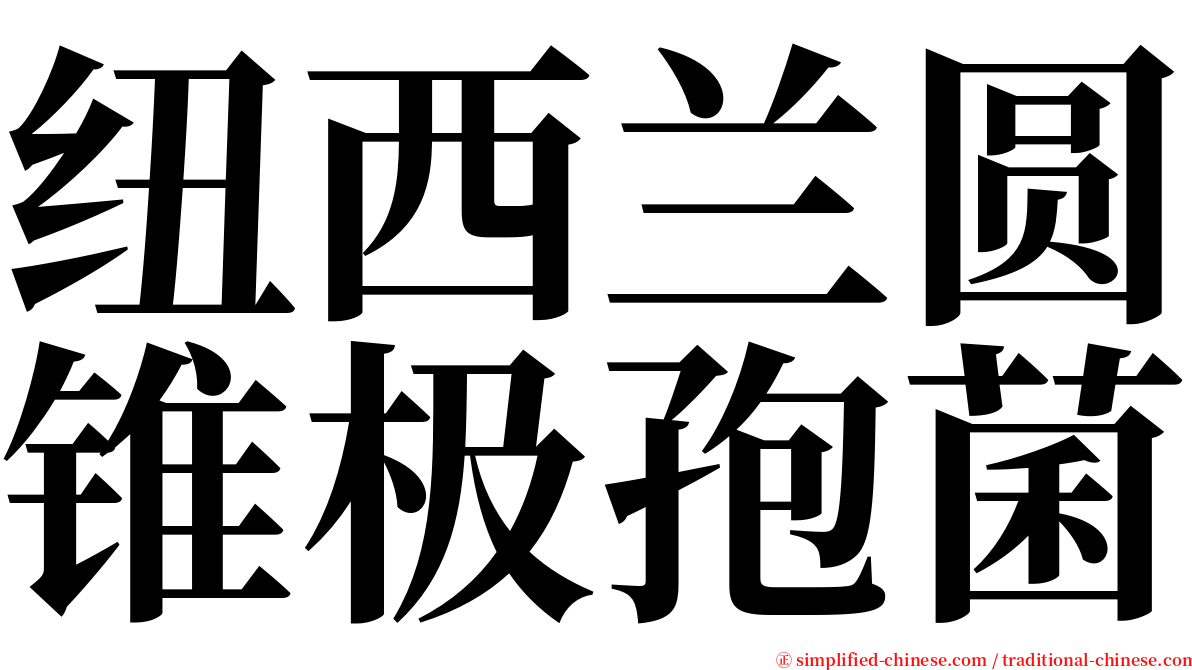 纽西兰圆锥极孢菌 serif font