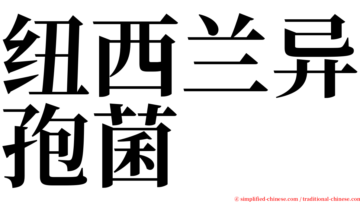 纽西兰异孢菌 serif font