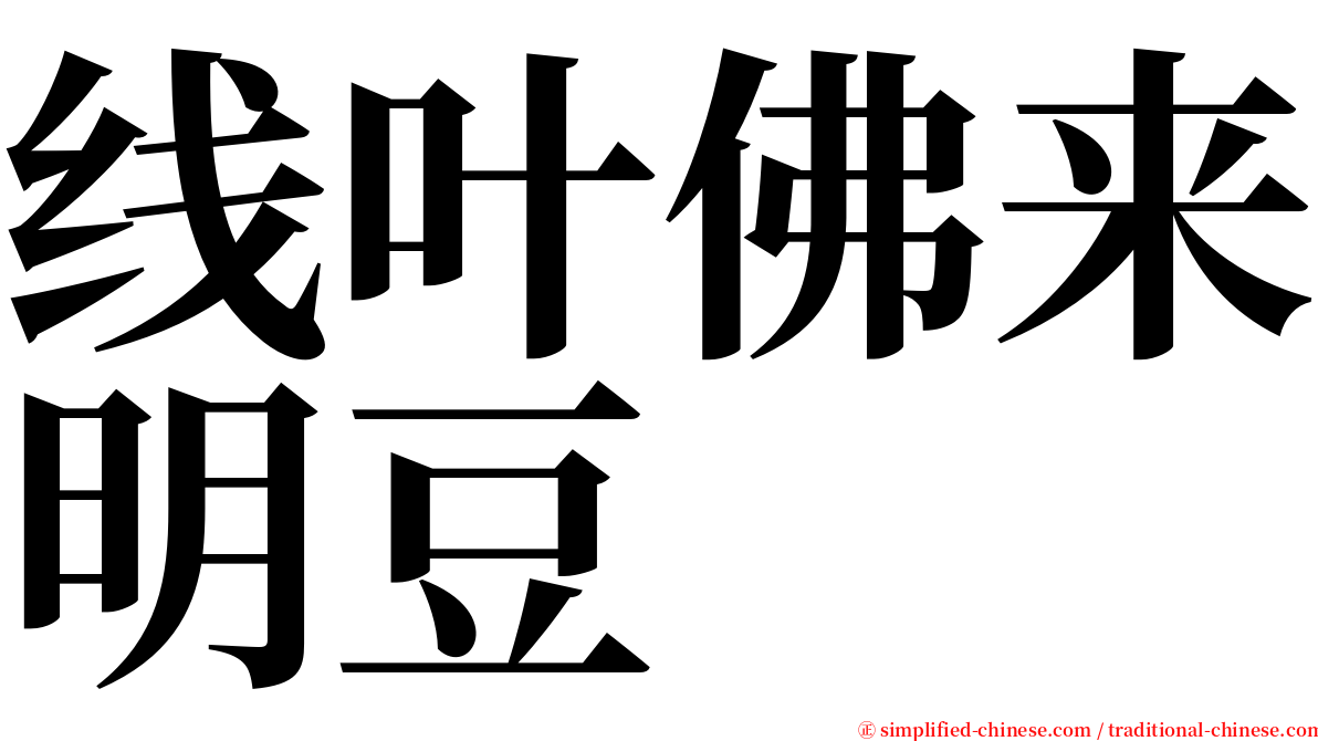 线叶佛来明豆 serif font