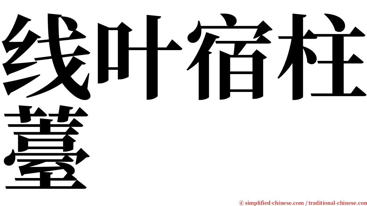 线叶宿柱薹 serif font