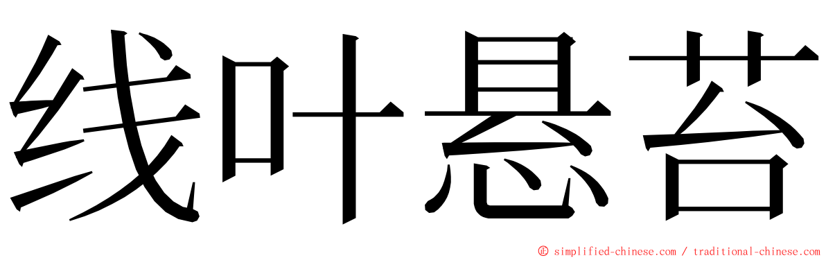 线叶悬苔 ming font