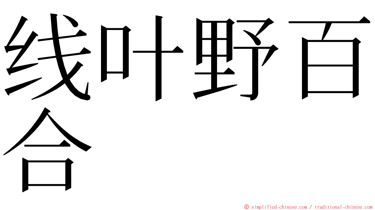 线叶野百合 ming font