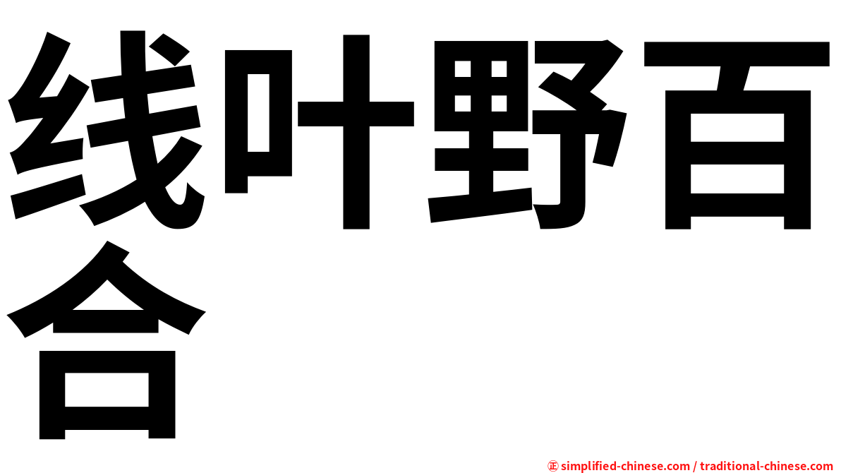 线叶野百合