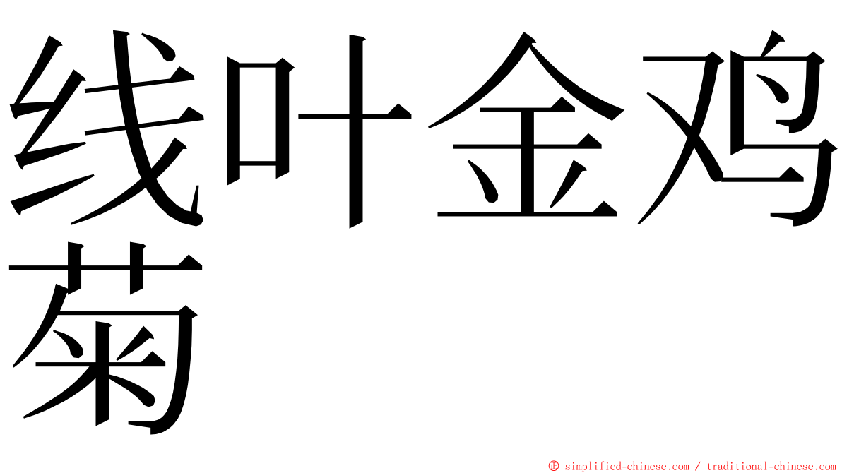 线叶金鸡菊 ming font