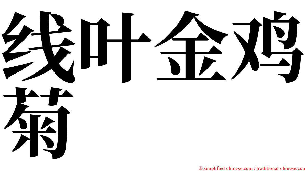 线叶金鸡菊 serif font