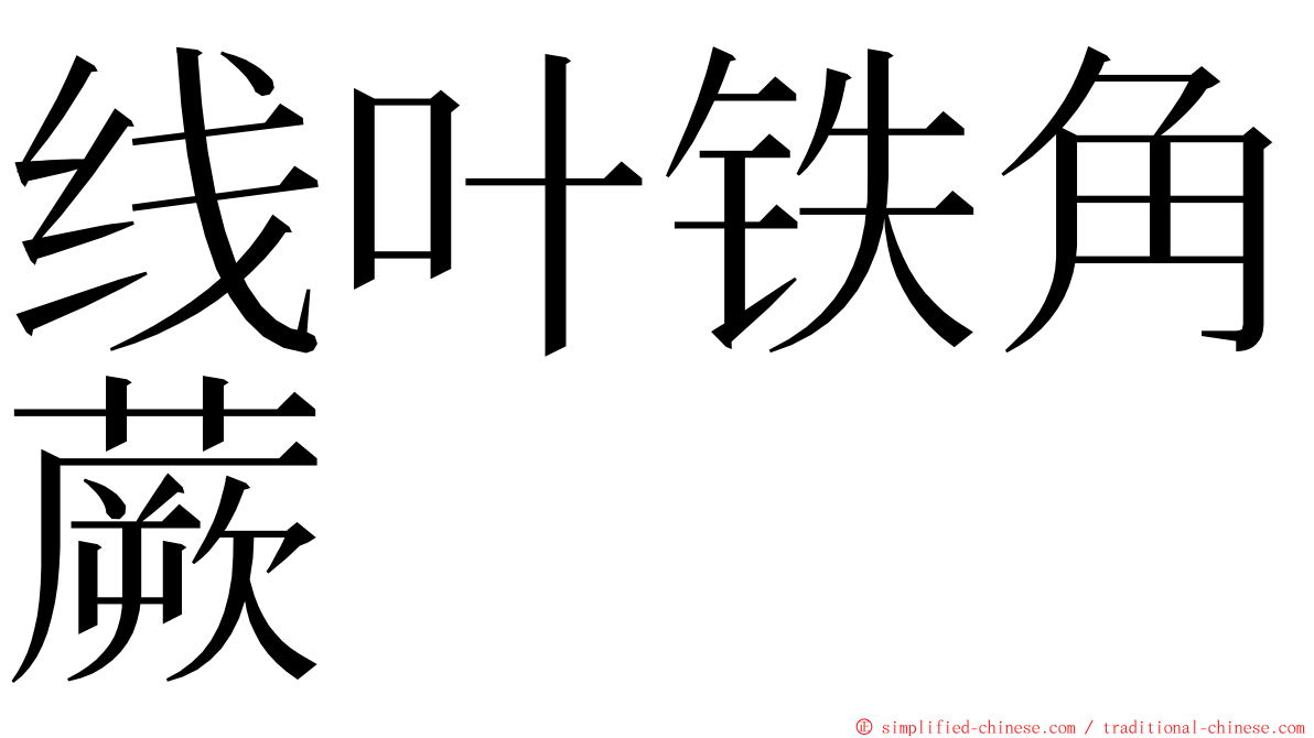 线叶铁角蕨 ming font