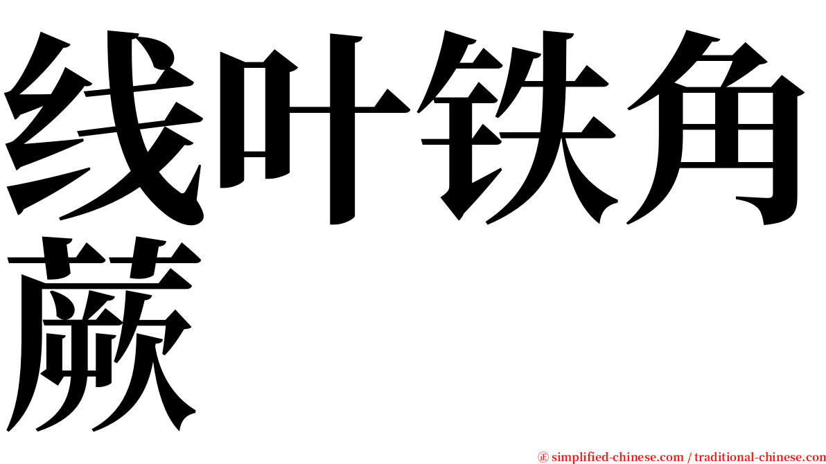 线叶铁角蕨 serif font