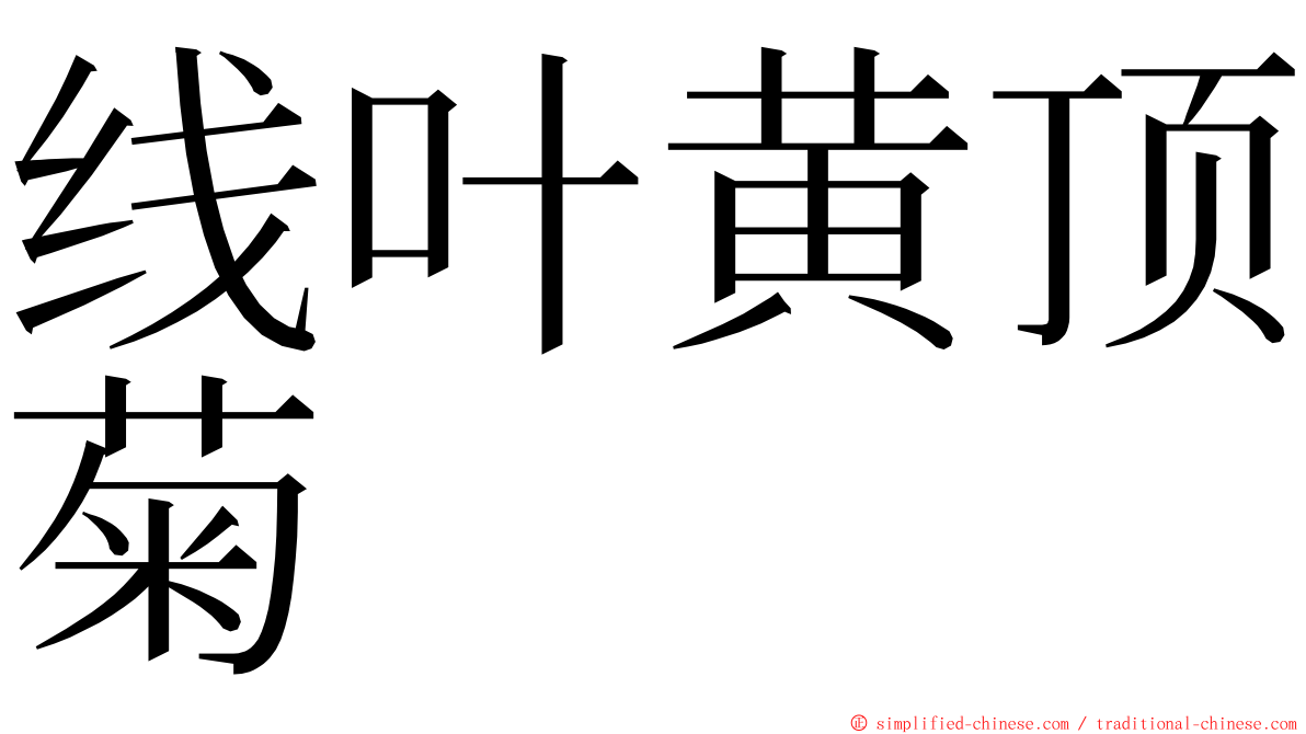 线叶黄顶菊 ming font
