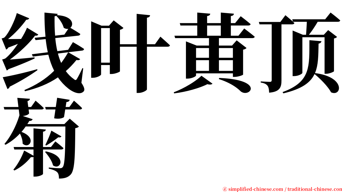 线叶黄顶菊 serif font