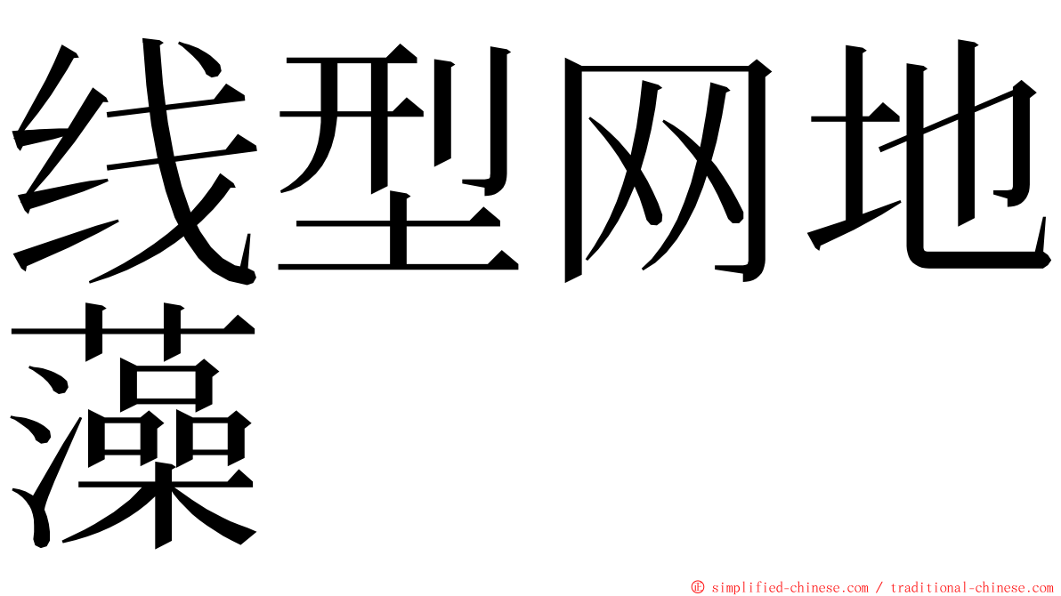 线型网地藻 ming font