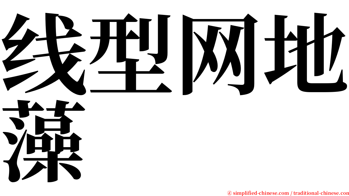 线型网地藻 serif font