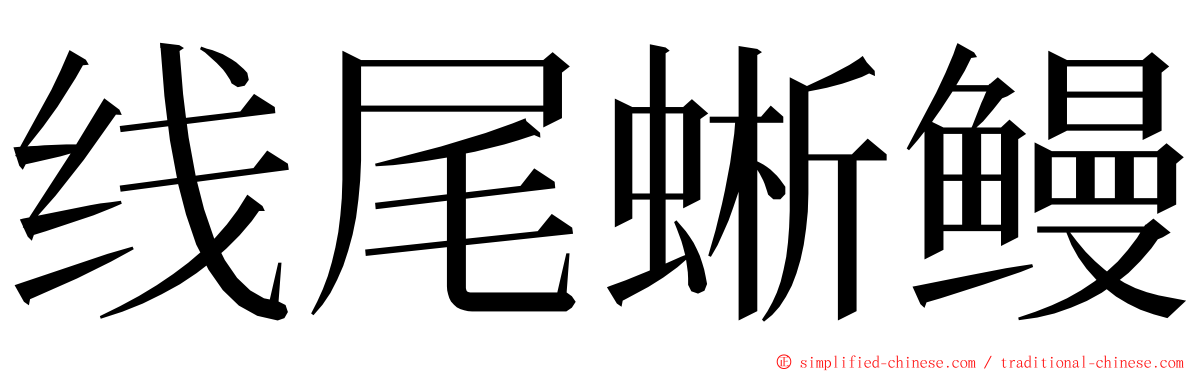 线尾蜥鳗 ming font