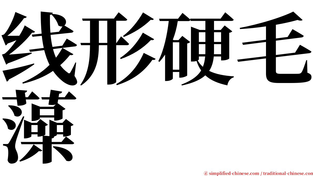 线形硬毛藻 serif font