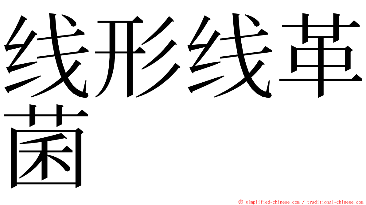 线形线革菌 ming font