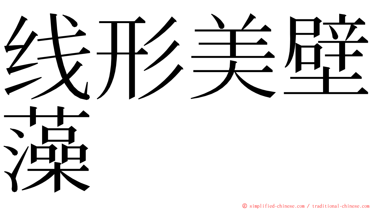 线形美壁藻 ming font