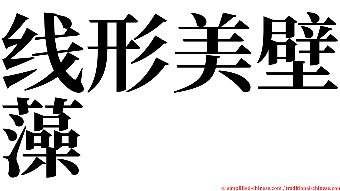 线形美壁藻 serif font