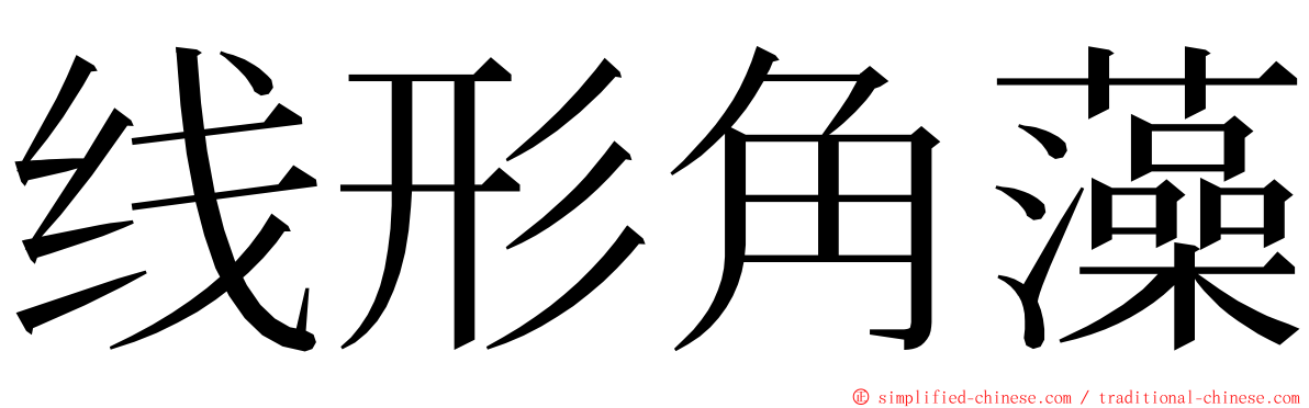 线形角藻 ming font