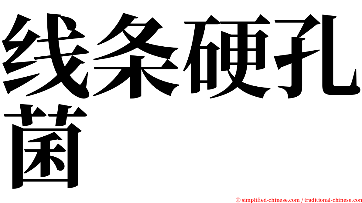 线条硬孔菌 serif font